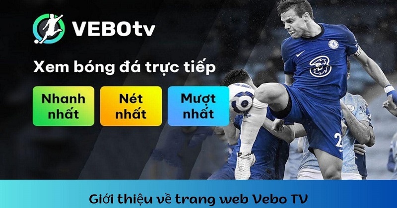 Tìm hiểu về website Vebo TV